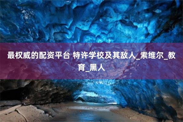 最权威的配资平台 特许学校及其敌人_索维尔_教育_黑人