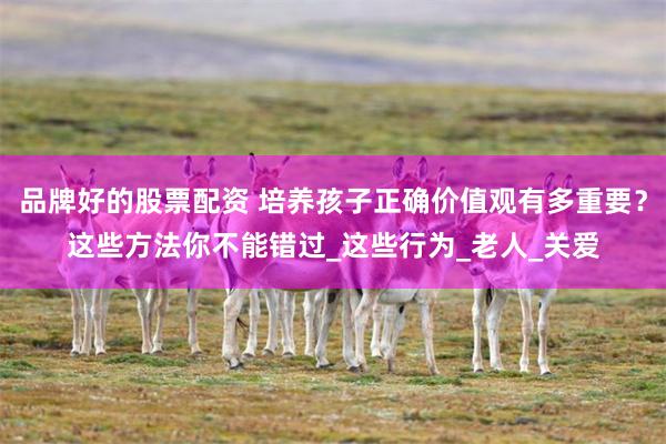 品牌好的股票配资 培养孩子正确价值观有多重要？这些方法你不能错过_这些行为_老人_关爱