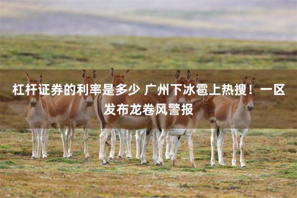 杠杆证券的利率是多少 广州下冰雹上热搜！一区发布龙卷风警报