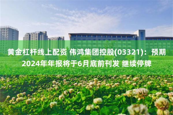 黄金杠杆线上配资 伟鸿集团控股(03321)：预期2024年年报将于6月底前刊发 继续停牌