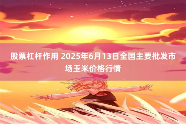 股票杠杆作用 2025年6月13日全国主要批发市场玉米价格行情