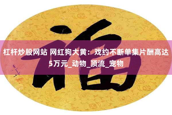杠杆炒股网站 网红狗大黄：戏约不断单集片酬高达5万元_动物_顶流_宠物