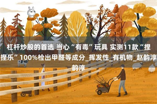 杠杆炒股的首选 当心“有毒”玩具 实测11款“捏捏乐”100%检出甲醛等成分_挥发性_有机物_赵韵淳
